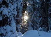 Paris-émoi neige...