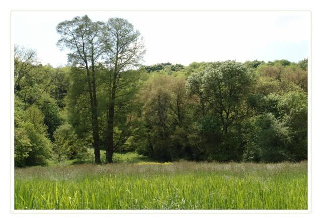 OUDON, village du bord de Loire