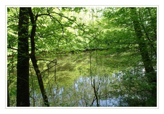 OUDON, village du bord de Loire