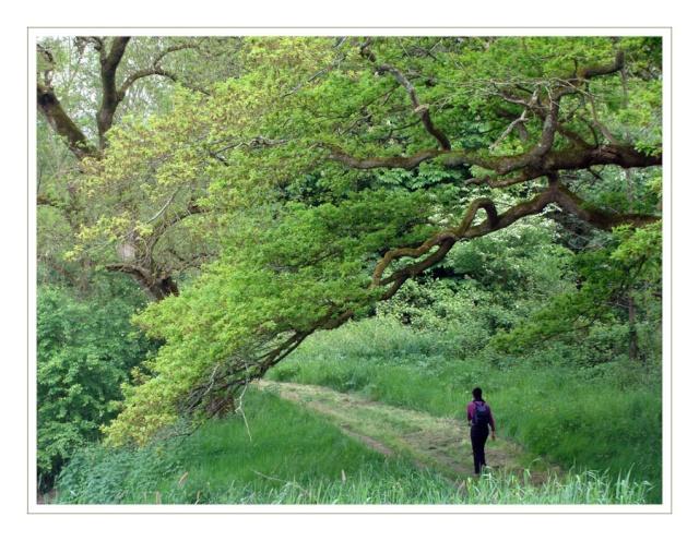 OUDON, village du bord de Loire