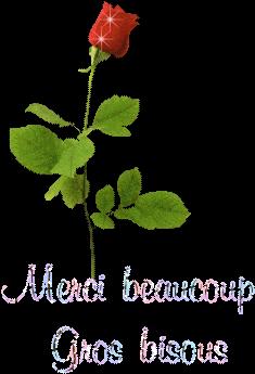 Merci a Lali pour mon nouveau design .....