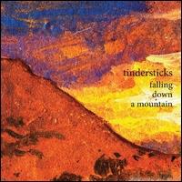 Tindersticks - Falling Down a Mountain (2010)