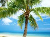 semaine vacances fait bien…