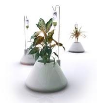 Le pot I.V par Vitamin