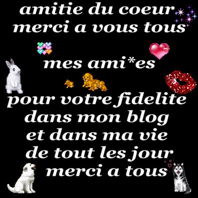 Image and video hosting by TinyPic