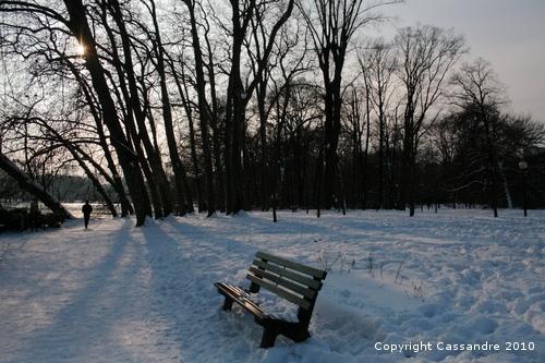 Photos-lundi-ter 4195