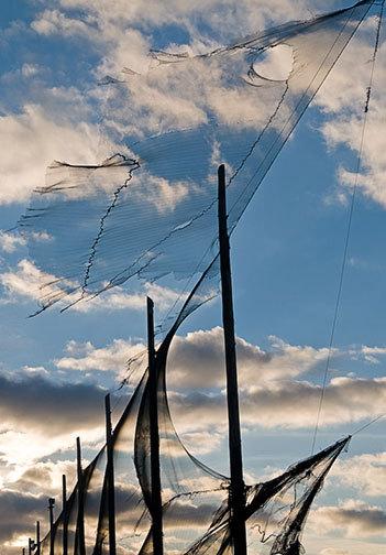 Accident vasculaire cérébral