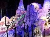 L'art glace Karl Neuhaus