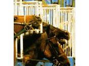 Disparition l'écrivain britannique Dick Francis