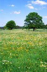 La minute coup de coeur (1)