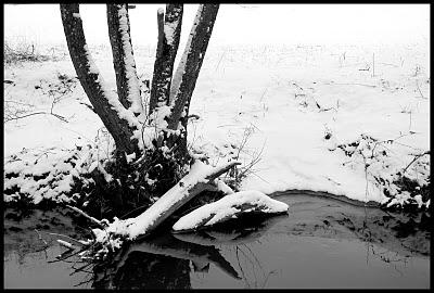 Aujourd'hui vers midi quelque part au Grand-Duché
