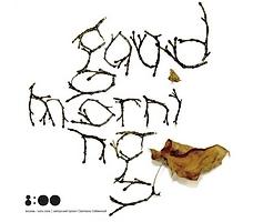 L'art typographique de Sveta Sebyakina