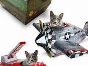 Shopping Chat jouets pour minous