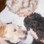 Photo chiens petite vignette