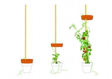 Tutoring par Aurélien Veyrat