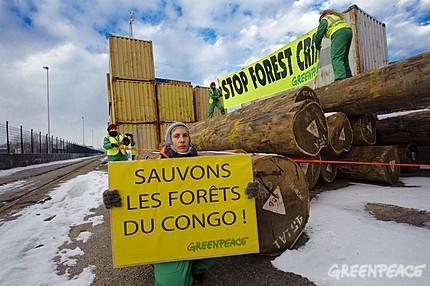 Greenpeace dénonce du bois illégal stocké dans le port d’Anvers