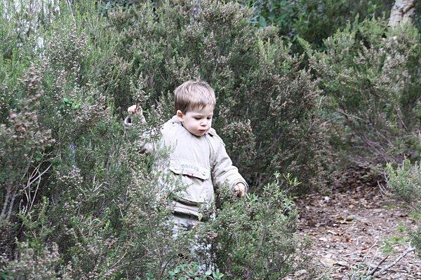 17 Janvier 2010 (11)