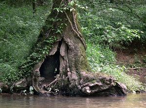 169936105_359cf82161