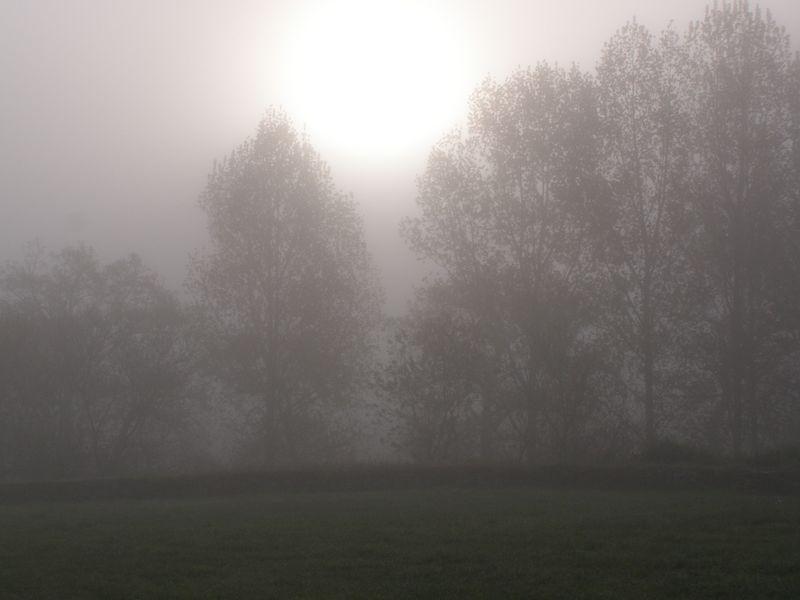 Haleine de la terre (Jean-Paul Hameury)