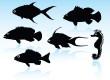 ist1_2537113-fish-silhouettes.jpg