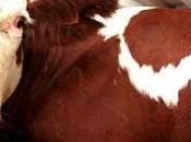 situation mondiale l'alimentation l'agriculture