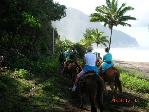 Hawaii 2008 LP 118.jpg