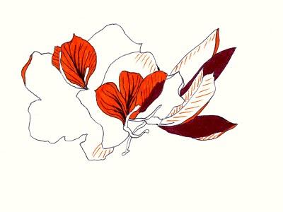 رسومات من لبنان