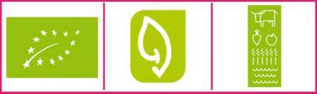 Un logo bio Vert feuille
