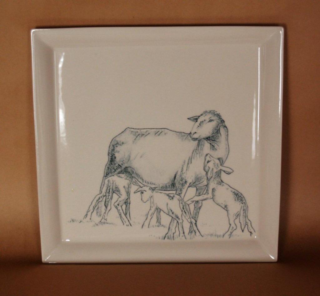 Haïti photo - Enchères Médecins sans fronctières