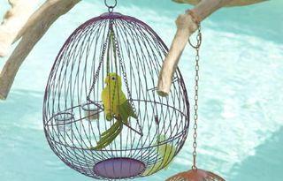 Ouvrez ouvrez la cage aux oiseaux !!! - Paperblog