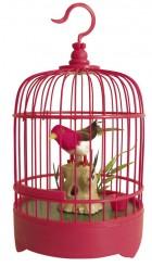 Cage oiseau rose
