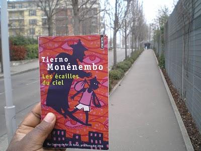 Tierno Monemembo : Les écailles du ciel