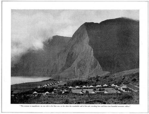 Les lépreux de Molokai et Jack London