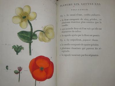 Le recueil de plantes coloriées... par Jean-Jacques Rousseau