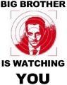 big-brother-is-watching-you-sarkosy
