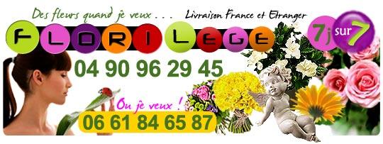 540x203-florilege-2010