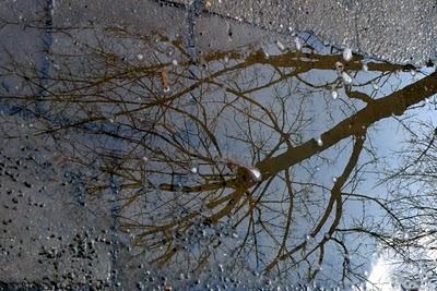 Le temps des flaques