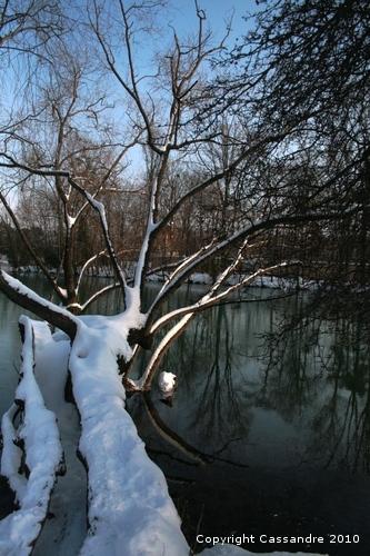 Photos-lundi-ter 4197