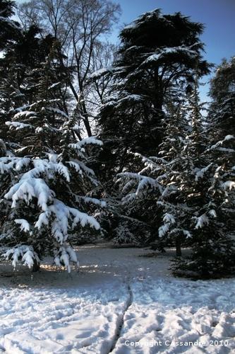 Photos-lundi-ter 4207