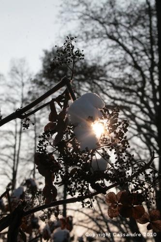 Photos-lundi-ter 4208