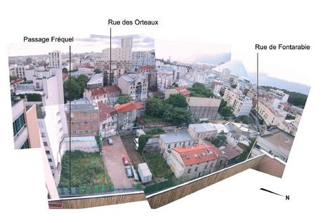 La vie rêvée des plantes, version corrigée