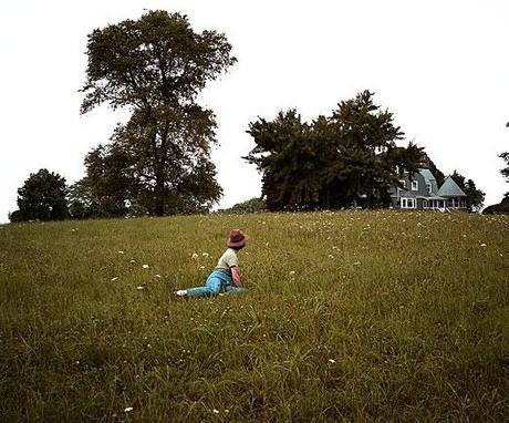 La vie rêvée des plantes, version corrigée