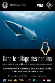 Sillagerequins