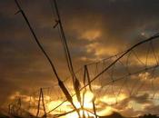 4myplanet Underwater