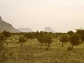 DCDL XIX, l'inspecteur platines