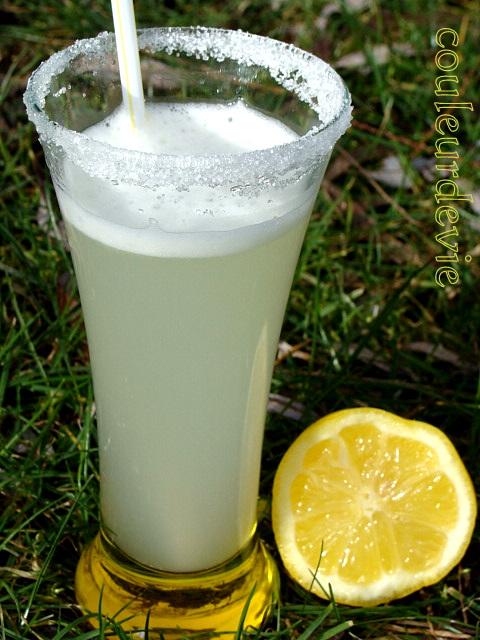 Fruité citron (boisson au thermomix)