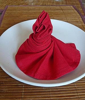 5 pliages de serviettes avec schéma, pour une belle table