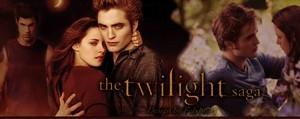 The Saga Twilight nouveau partenaire d'Emmatisation