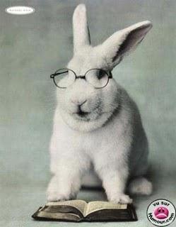 Tout le monde lit (la preuve 09 sur 52)