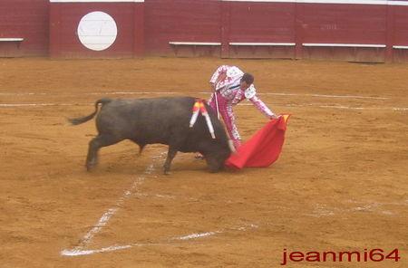 N_AZ315___Naturelle_de_Meca__4_